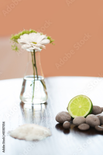 Spa composition. Salt Lime Flower and Stones. Body scrub.