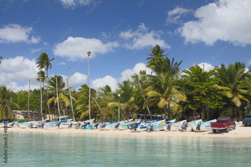 Palm trees and motor boats on tropical beach. Bayahibe, Dominican Republic