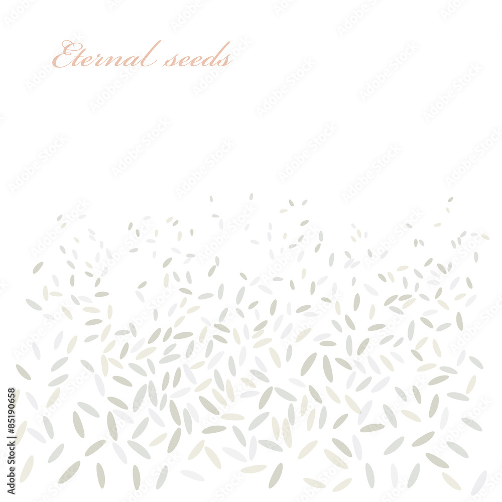 Rice vector background Rice vector background