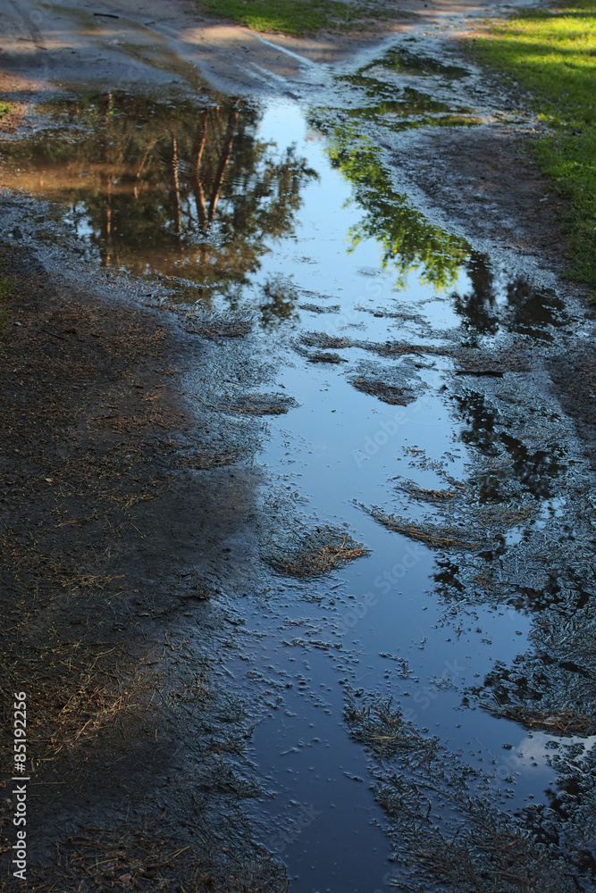 Obraz premium Puddle after a spring thunderstorm.