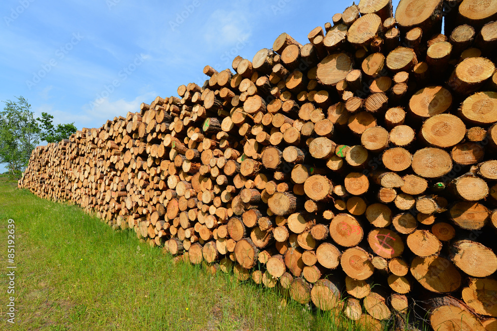 Holz, Kiefernholz, Baumstämme, Holzstapel, Waldarbeit, Brennholz, Forst