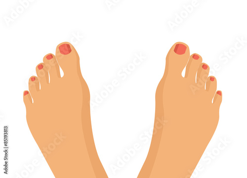 Vector feet flat illustration