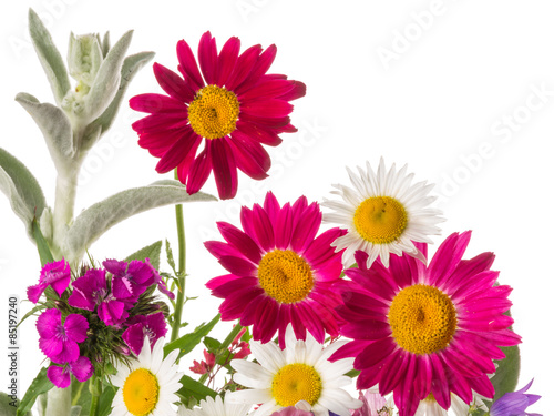 colorful cheerful bunch photo