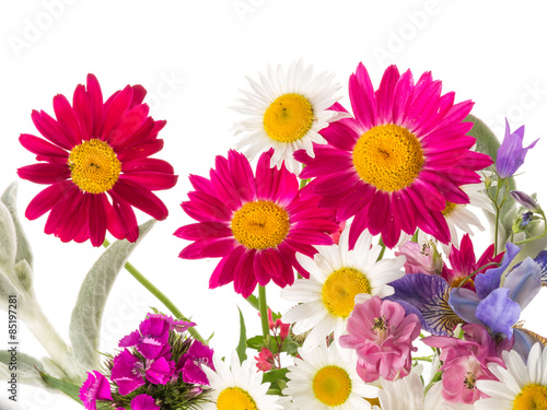 Field bouquet of bright summer