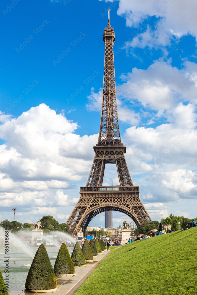 Fototapeta premium Eiffel Tower in Paris