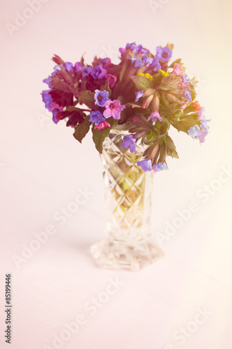 A ground glass vase full of pulmonaria flowers on white backgrou © PetrToman