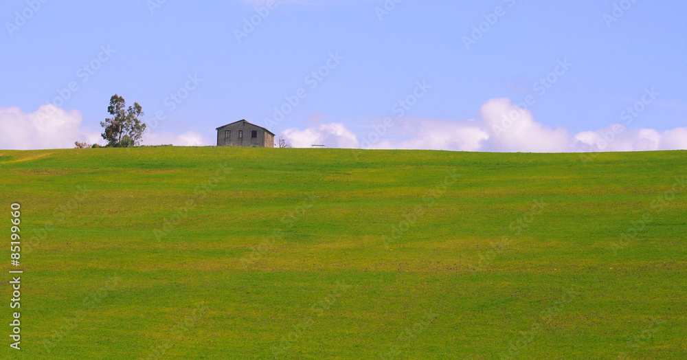 barn and tree in green environment with white fluffy clouds and blue sky, lazio, italy, europe