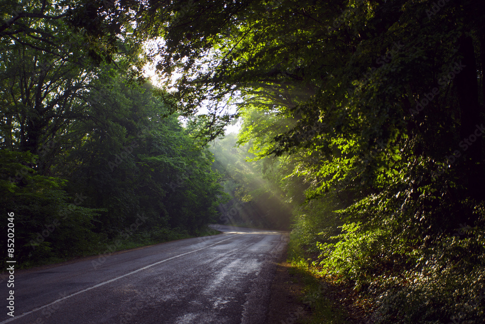 Obraz premium Sunrise on the Crimean road. Crimea.
