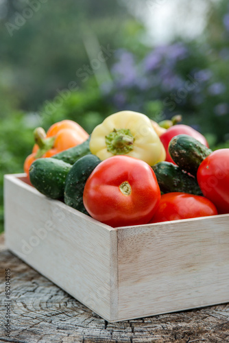 Wooden box with fresh vegetables  tomato  cucumber  bell pepper 