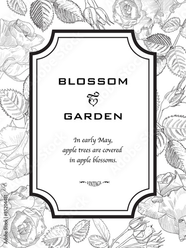 Fototapeta Naklejka Na Ścianę i Meble -  Greeting Card made of Hand Drawn Roses. 