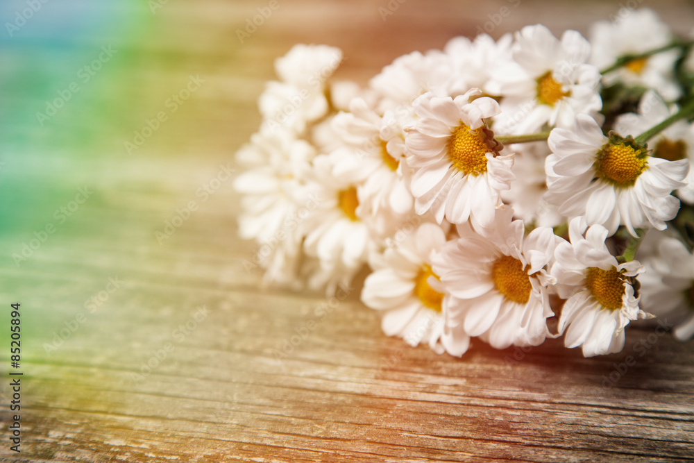 Close up of daisies on wooden background Close up of daisies on wooden background