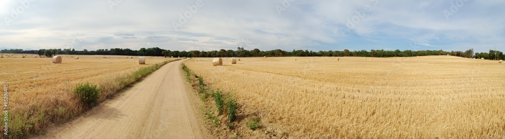 farm field panorama