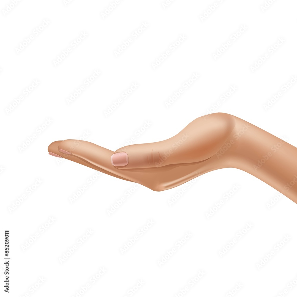 Vector Female Hand Isolated on White Background Vector Female Hand Isolated on White Background