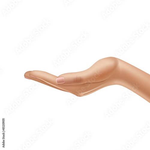 Vector Female Hand Isolated on White Background