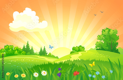 Summer sunset landscape