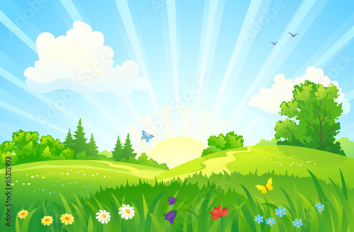 Summer sunrise landscape