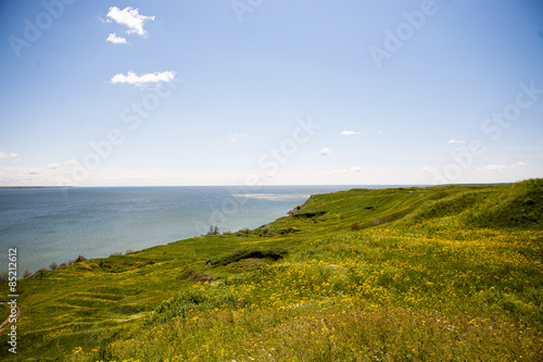 sea and field of green grass