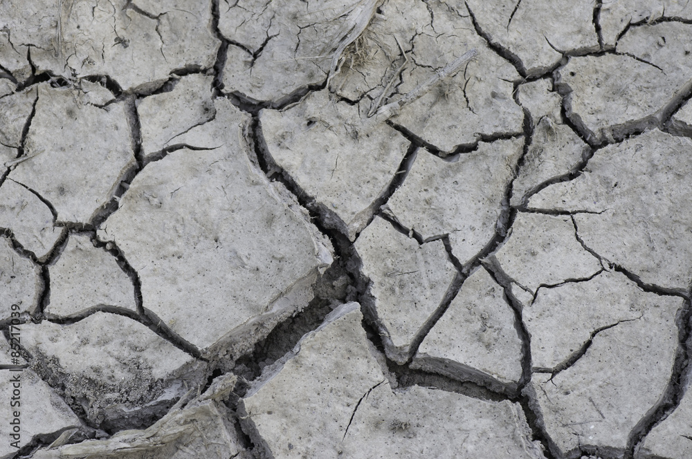 Obraz premium Cracked dry soil