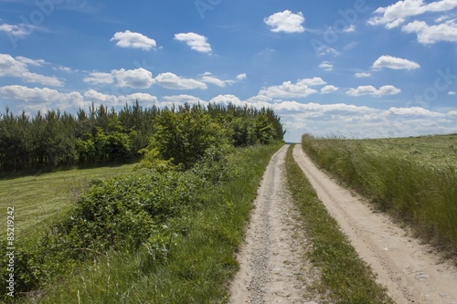 Summer day and a dirt road leading to the forest on the horizon in the background. Blue sky with clouds. Rural road in Czech Republic.