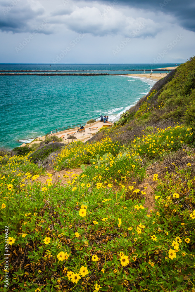 Yellow flowers and view of the Pacific Ocean from Inspiration Po