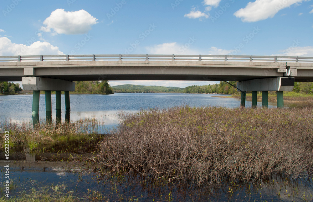 Bridging The Wetland