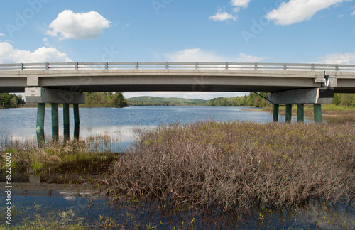Bridging The Wetland