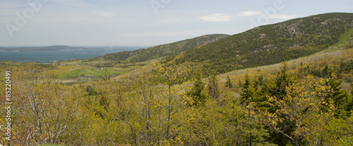 Springtime Mountains In New England 