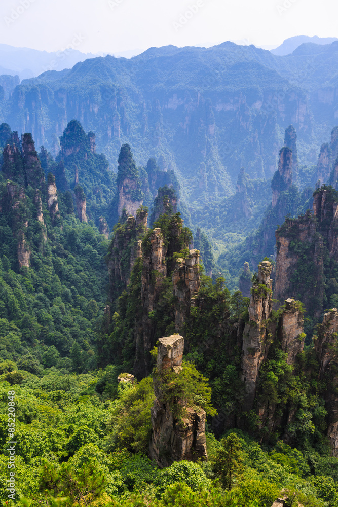 Fototapeta premium scene of rock mountain in Zhangjiajie National Forest Park,Hunan