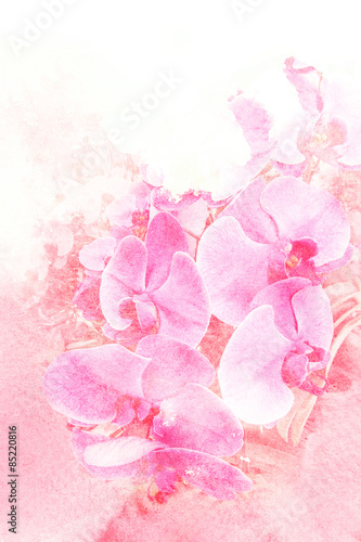 Flower watercolor illustration.