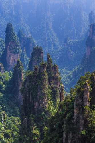 scene of rock mountain in Zhangjiajie National Forest Park Hunan