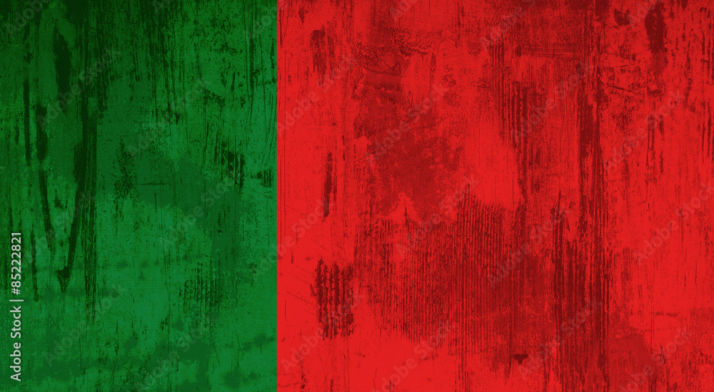 Obraz premium Portugal flag