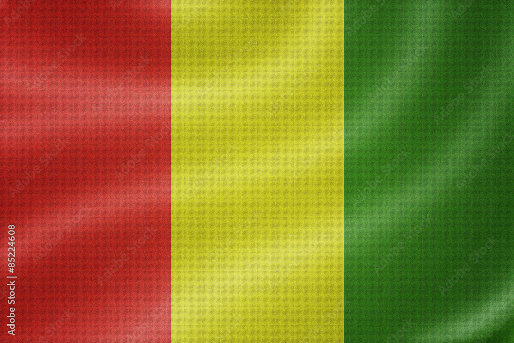 Guinea flag on the fabric texture background