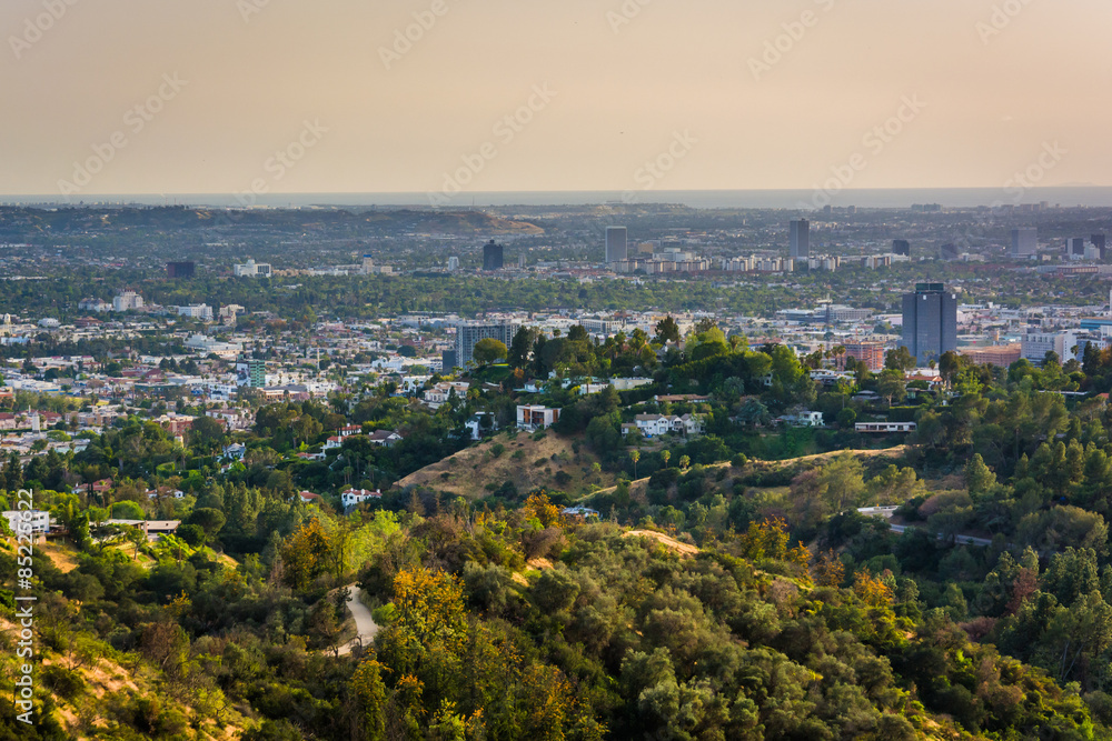 View of trails in Griffith Park and Hollywood from Griffith Obse