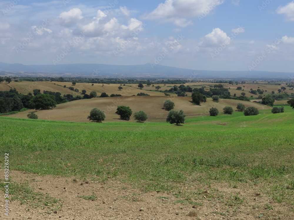 campagna