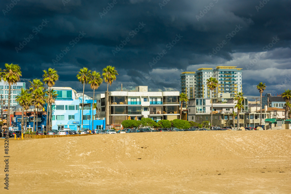 View of the buildings and the beach in Venice Beach, Los Angeles