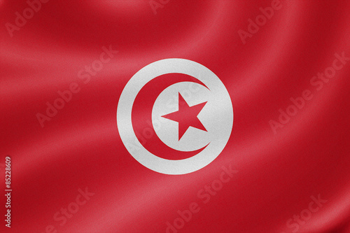 Tunisia flag on the fabric texture background