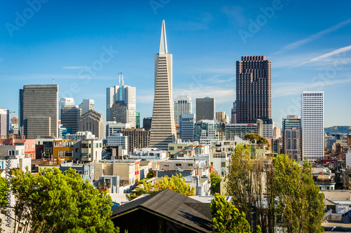 Photography View of downtown from Pioneer Park, on Telegraph Hill, in San Fr