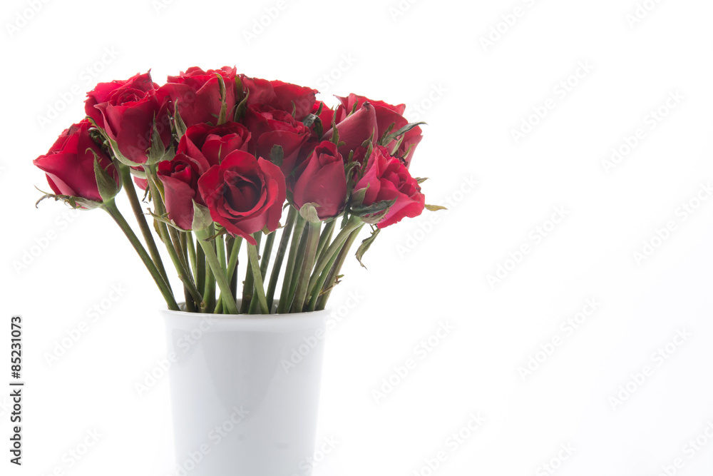 Obraz premium red rose