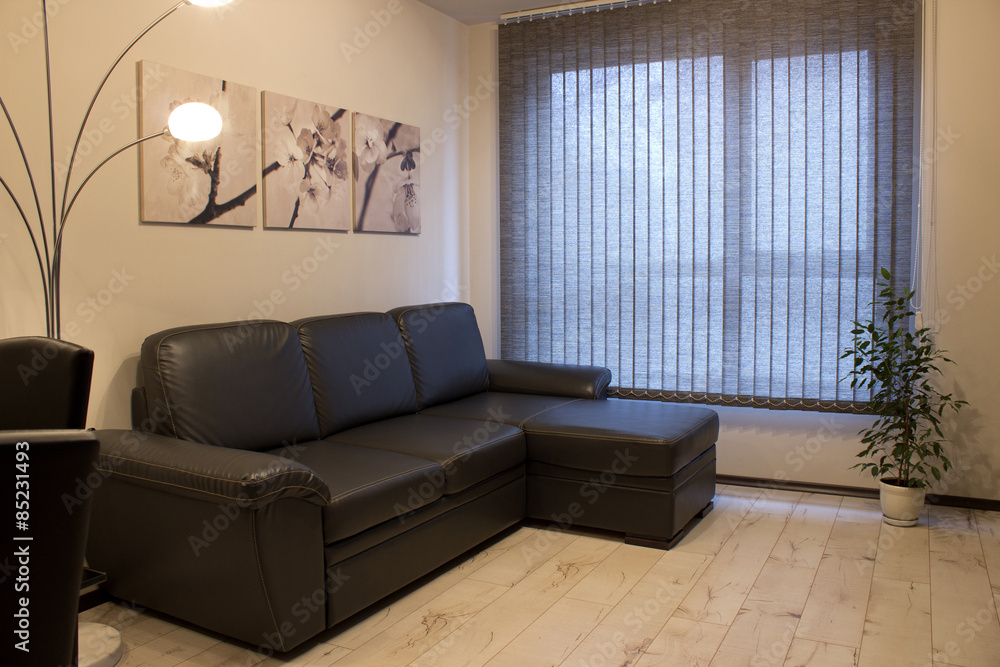 Obraz premium living room