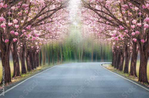 Romantic tunnel.