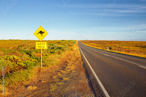 Great Ocean Road. Sign of kangaroos, Australia