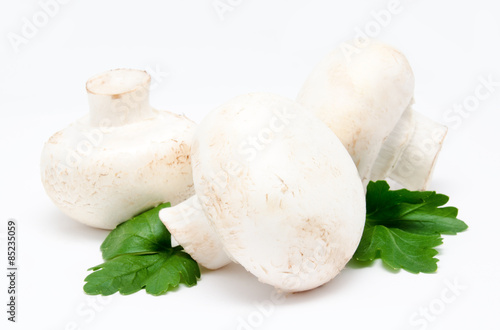 Champignon mushroom white agaricus with parsley