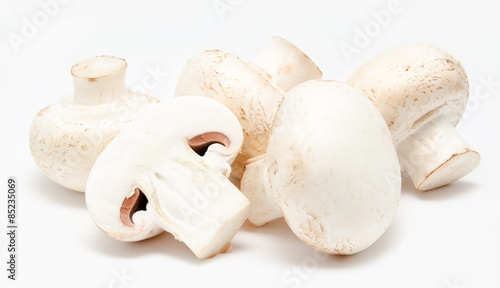Champignon mushroom white agaricus