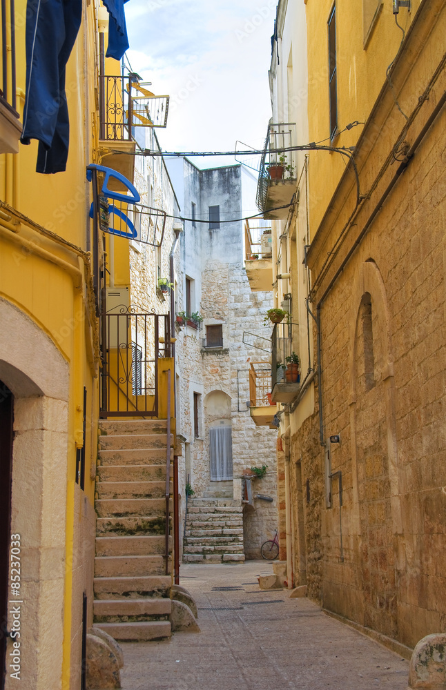 Fototapeta premium Alleyway. Bitritto. Puglia. Italy.
