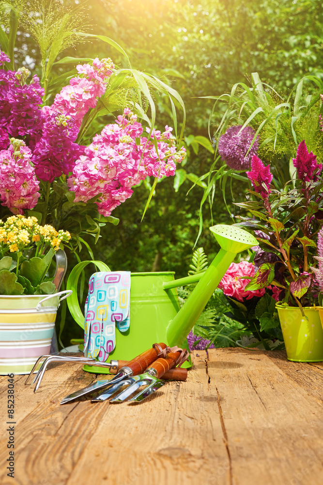 Gardening tools and flowers on the terrace in the garden Gardening tools and flowers on the terrace in the garden