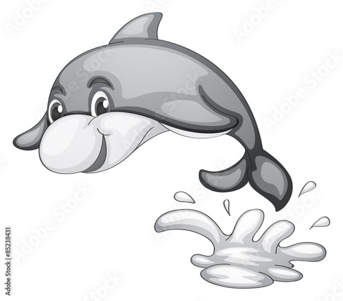 Dolphin