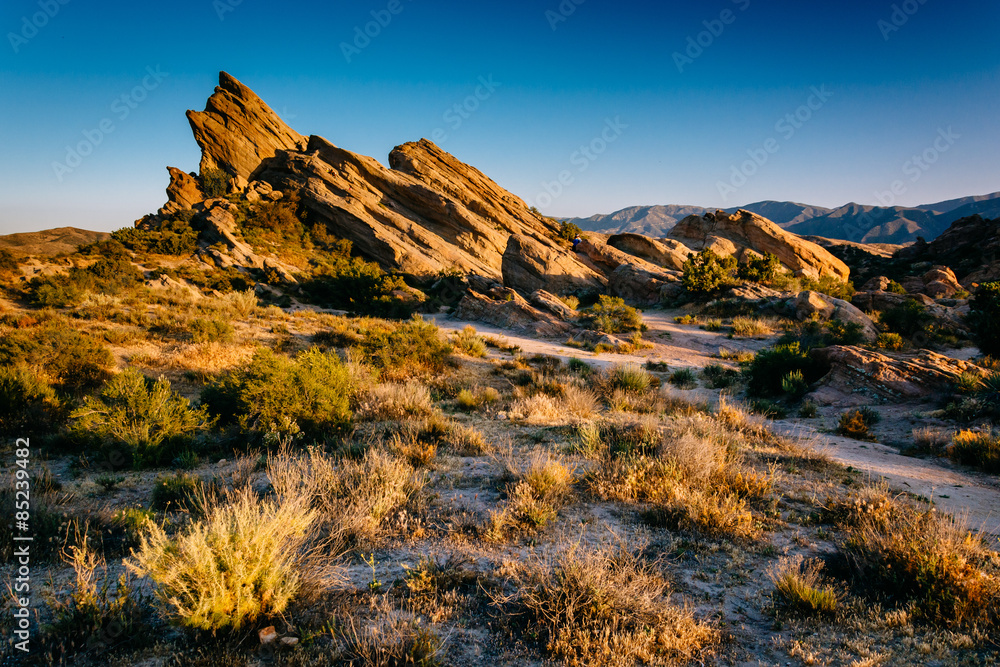 Plants and rocks at Vasquez Rocks County Park, in Agua Dulce, Ca