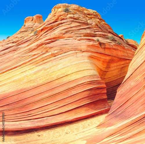 The Wave in Arizona, amazing sandstone rock formation in the rocky desert canyon.