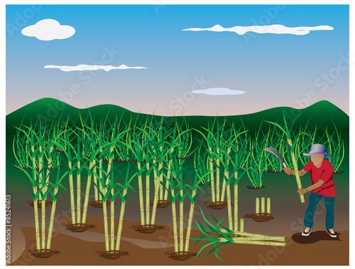 lifestyle countryside vector design