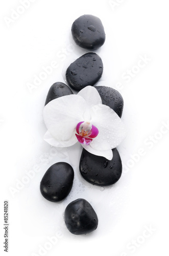 White orchid and spa stones 